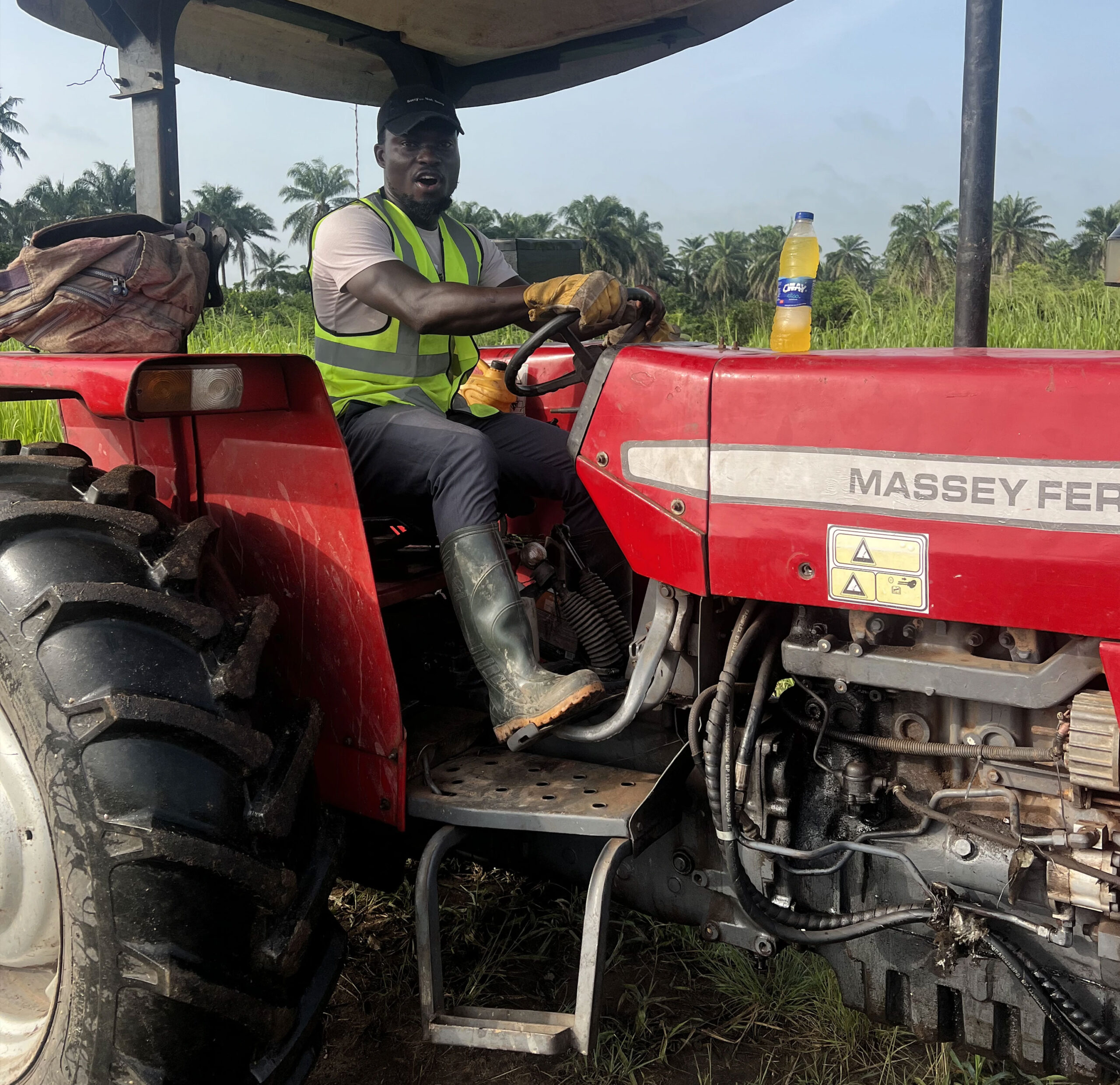 Massive Crop Harvest